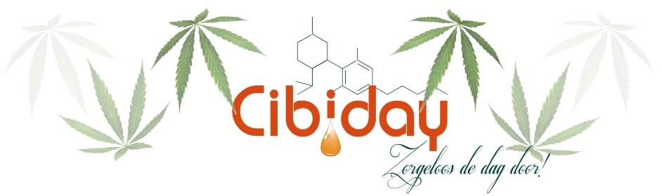 Cibiday