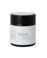CBD Zalf Balsem 25 gram Dutch Natural Healing