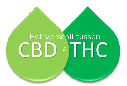 Het verschil tussen CBD en THC duidelijk uitgelegd