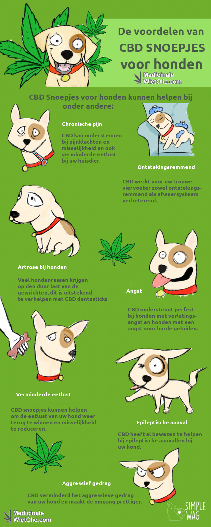 Wat doen CBD snoepjes voor uw hond ?
