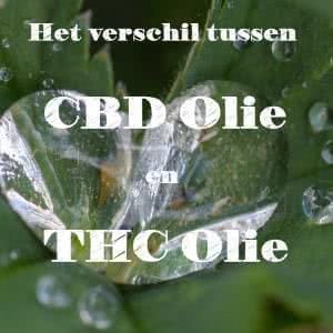Wat is het verschil tussen CBD olie en THC olie