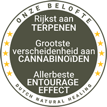 Dutch Natural Healing - Gezondheid is rijkdom