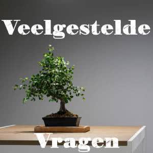 Veelgestelde vragen over CBD olie
